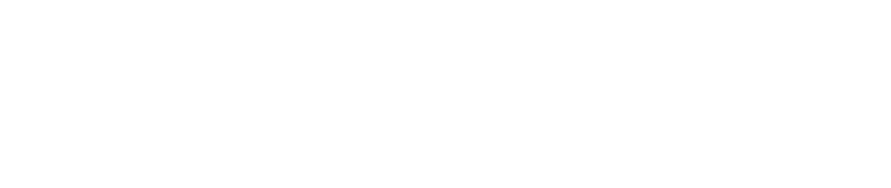 Essex Interactive Ltd